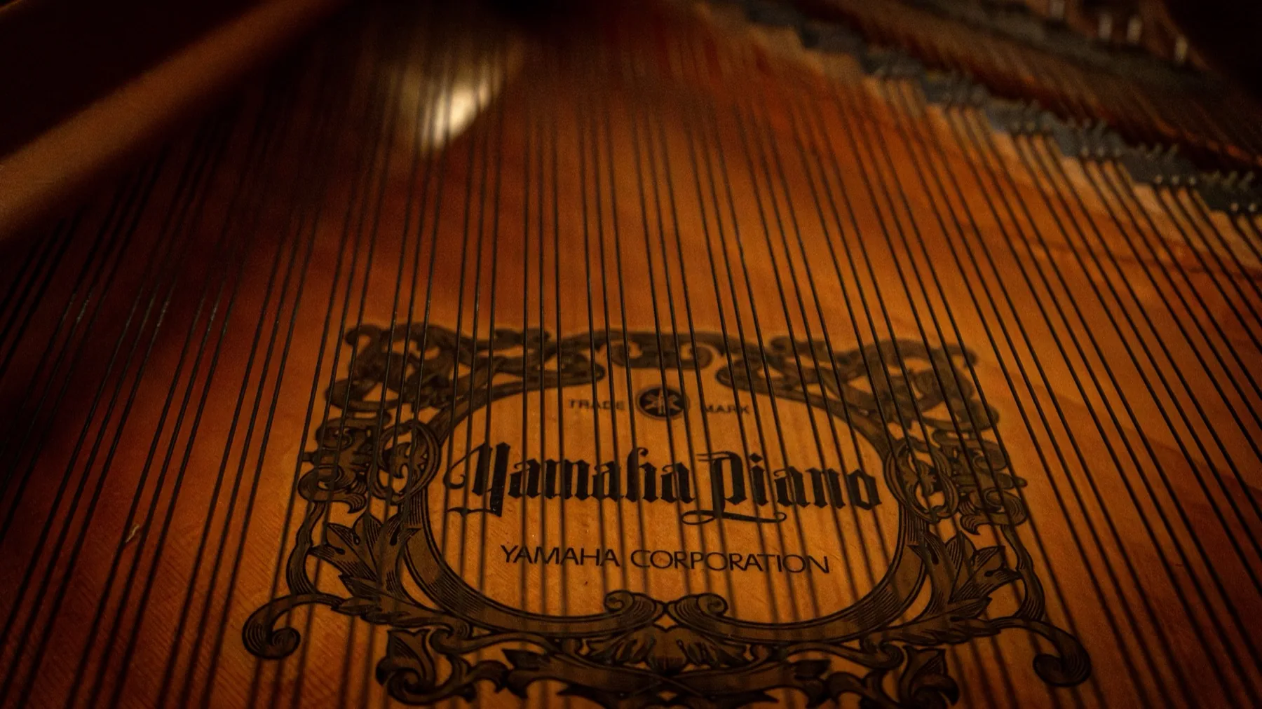 Inside one of the club's Yamaha grand pianos: strings and the engraved soundboard in warm light